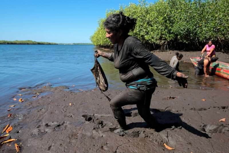 Una mujer de Aserradores, Nicaragua, camina entre el lodo de un manglar