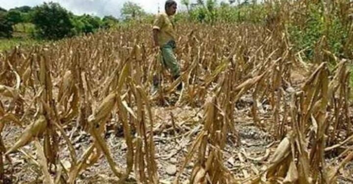 Honduras declara alerta amarilla en 85 municipios por sequía