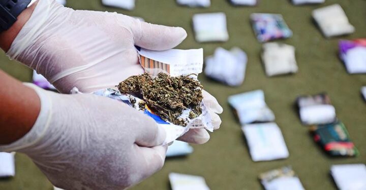 Guerra en Costa Rica por mercado de marihuana