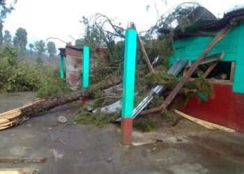 Las lluvias y vientos provocaron la caída de árboles en una escuela en Santa Cruz Verapaz.