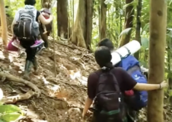Una familia china camina por la selva en Panamá.