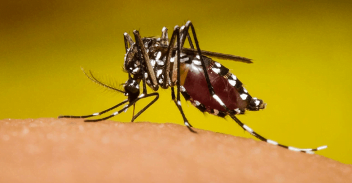 Emergencia sanitaria en toda Guatemala debido al dengue