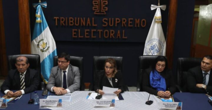 TSE revoca suspensión de Semilla y lo “revive” legalmente