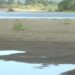 Costa Rica se adelanta a la crisis hídrica de 2024 y decreta alerta amarilla por El Niño
