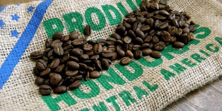 Honduras manda en Centroamérica como productor de café
