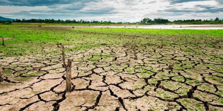 Países del corredor seco centroamericano buscan $300 millones de inversión para enfrentar el cambio climático