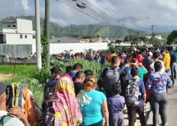 Se calcula que medio millón de migrantes pasarán por Honduras este año./Foto OIM