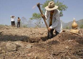 La sequía provoca pérdidas en la agricultura y consecuentemente, la migración de centroamericanos.