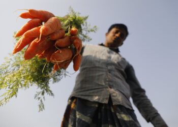 El costo oculto en los sistemas alimentarios llega a $66,000 millones en Centroamérica