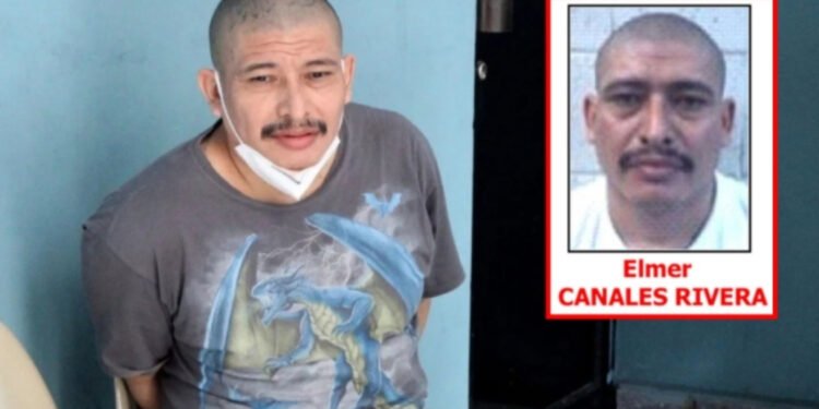 Peligroso cabecilla salvadoreño de la Mara Salvatrucha arrestado en México y en custodia de EEUU