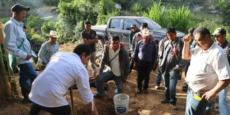 Taiwán capacita y acompaña a agricultores guatemaltecos para mejorar sus cosechas de maíz