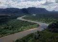 La Mosquitia hondureña, uno de los bosques centroamericanos más afectados por el narco.