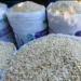 Honduras registra una producción récord de maíz en 2023