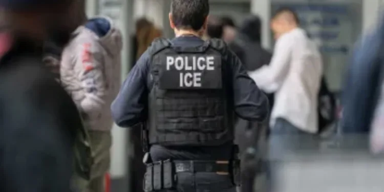 EEUU busca controlar migración irregular: Estrategias, sanciones y advertencias