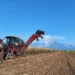 Sector azucarero guatemalteco en emergencia debido a sequía extrema