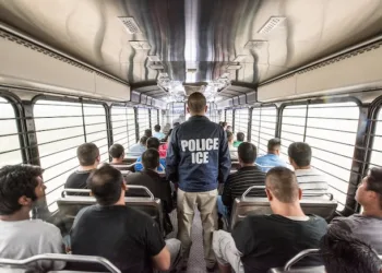 Imagen de archivo de migrantes en vías de ser deportados./ICE