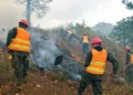 Soldados hondureños participan en sofocar un incendio forestal.