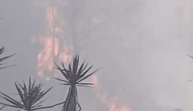 Los incendios forestales afectan amplias zonas de Guatemala y Honduras