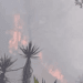 Los incendios forestales afectan amplias zonas de Guatemala y Honduras