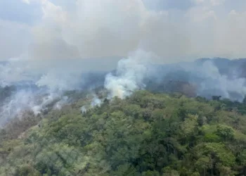 Vista aérea de los incendios forestales en Belice.