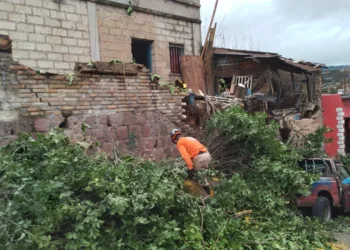 Presidenta de Honduras destituye a ministro de Gestión de Riesgos en medio de la alerta amarilla