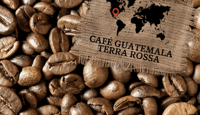 Canciller taiwanés pide a las empresas de su país que compren café guatemalteco