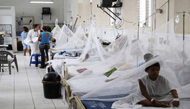 Honduras bajo emergencia sanitaria por dengue
