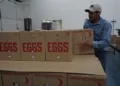 Trabajadores guatemaltecos demandan a empresa avícola en Iowa por tráfico de personas y abusos laborales