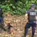 Costa Rica: matan a policía en enfrentamiento con banda criminal y narcos amenazan a agentes
