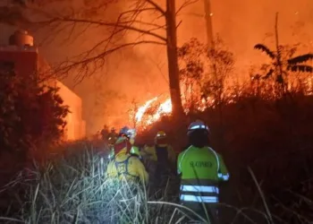 Guatemala registra más de 500 incendios forestales en lo que va del año