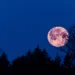 Centroamérica se prepara para observar la Luna Llena Rosa este 12 de abril