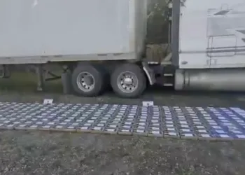 Honduras incauta 786 kilos de cocaína ocultos en contenedor cerca de San Pedro Sula