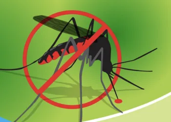 Belice confirma primeros casos de malaria en el país en más de seis años
