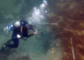 Descubren en Costa Rica dos barcos esclavistas daneses hundidos en 1710
