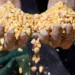 Inseguridad alimentaria afecta a 2,9 millones de guatemaltecos, según informe de la ONU
