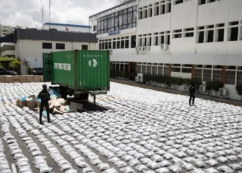 Dominicana incauta más de 3,000 paquetes de marihuana ocultos en carga de arena para gatos proveniente de Guatemala