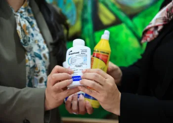 Guatemala afianza su estatus como territorio libre de la mosca del Mediterráneo