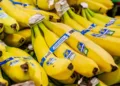 Chiquita Panamá reporta pérdidas por más de $75 millones y suspende operaciones en medio de crisis laboral