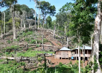 Informe revela destrucción de reserva “protegida” de Nicaragua