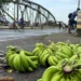 Huelguistas de sindicatos bananeros acuerdan levantar huelga y retirar bloqueos en provincia panameña