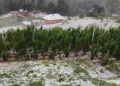 Guatemala: Granizada afecta viviendas y cultivos en San Marcos y Quetzaltenango