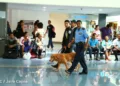 policias sandinistas en nicaragua