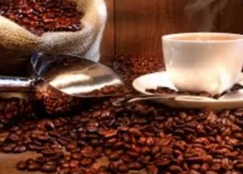Café Geisha de Panamá alcanza precio récord mundial de $30,204 por kilo en subasta internacional