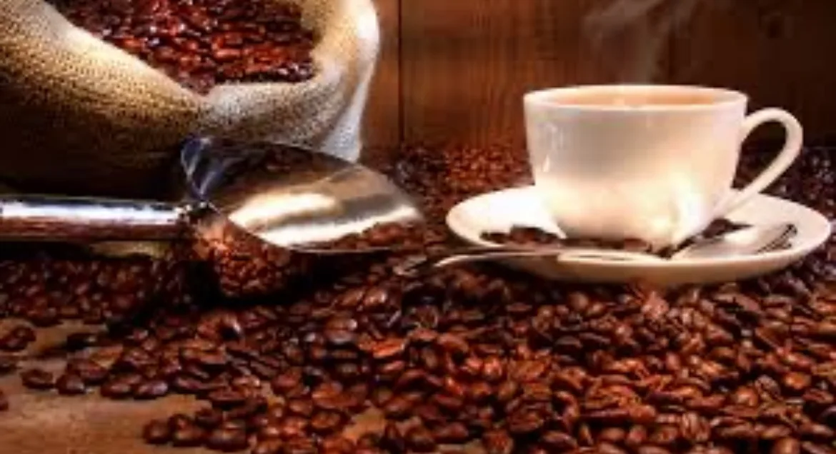 Café Geisha de Panamá alcanza precio récord mundial de $30,204 por kilo en subasta internacional
