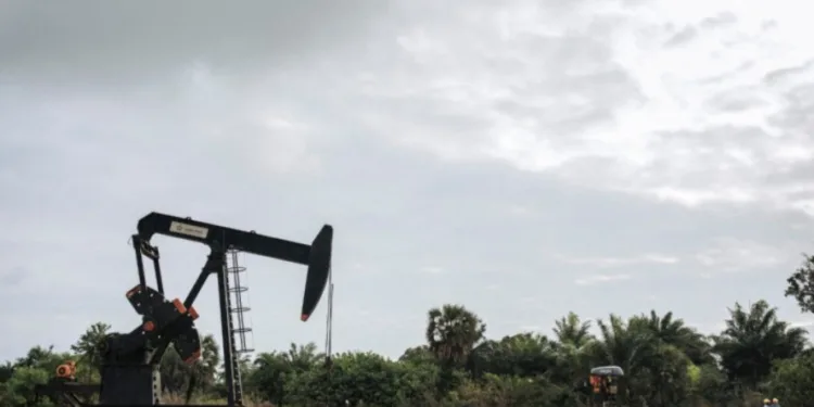 Finaliza la operación petrolera más grande en Guatemala: Perenco cierra tras 23 años en el Campo Xan