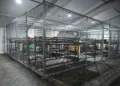 Cancillería de Guatemala verifica situación de migrantes detenidos en cárcel de Florida