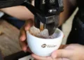 Panamá se prepara la subasta de su mejor café con 1,000 kilogramos de Geisha