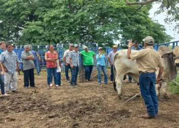 Importación masiva de productos lácteos pone en riesgo a 15,000 empleos en Panamá