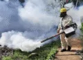 Panamá reporta más de 10,000 casos de dengue y 15 muertes en 2025