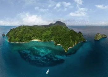 Turista mexicano sufre grave ataque de tiburón mientras buceaba en isla del pacífico de Costa Rica